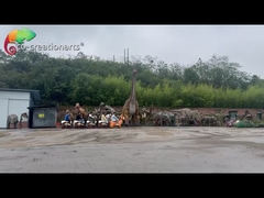 As crianças jogam a resistência Trackless do tempo do carro de trem do parque de diversões do equipamento