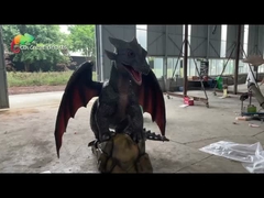 Dragão Resistente à Água no Parque Temático