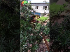 Fantoche Animatronic do dinossauro do equipamento impermeável do campo de jogos do dinossauro para Dino Park