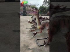 Modelo realístico personalizado do dinossauro da réplica Animatronic da fibra de vidro da personalização
