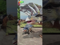 Trio de Triceratops Animatrónico Realista: Grupo Gritante Com Movimento Dinâmico e Exibição Pré-Histórica