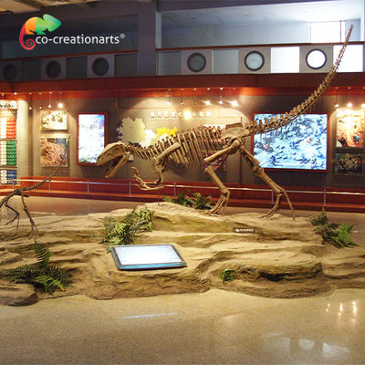 comprar Crânio de esqueleto do Gasosaurus do dinossauro da resina de Sunproof online manufacture