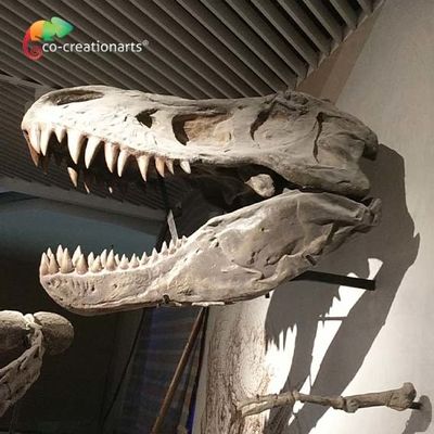 comprar Simulação de esqueleto da réplica T Rex Skeleton Head High do dinossauro artístico realístico do CE online manufacture