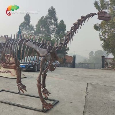 CE Dinosaur Skeleton Replica Shunosaurus Skeleton Weather Reistance
