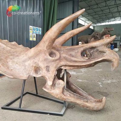 Vida fóssil da réplica de esqueleto do dinossauro do impermeabilizante do ISO - crânio do Triceratops do tamanho