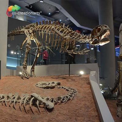 comprar landscape decoration Outdoor Yangchuanosaurus Skeleton Dinosaur Replica Fossil online manufacture
