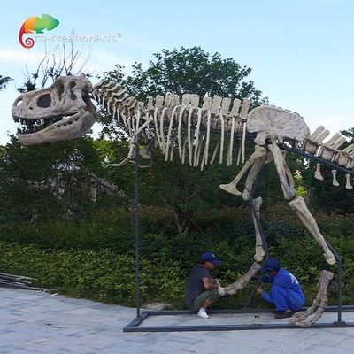 comprar impermeabilizante das réplicas T Rex Skull do dinossauro da qualidade do museu do comprimento 15m online manufacture