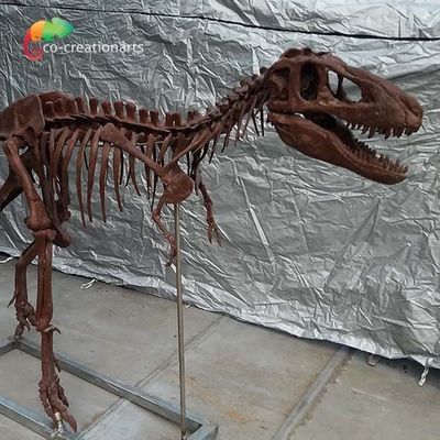 Réplicas personalizadas T Rex Skull Replica do osso de dinossauro da personalização