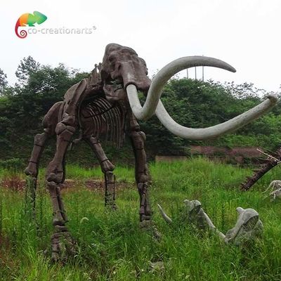 comprar da réplica real do tamanho do reistance do tempo modelo animal do Mammuthus dos esqueletos online manufacture