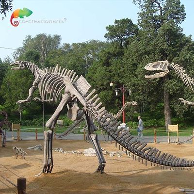 comprar Vida da fibra de vidro - esqueleto do Hadrosaurus da réplica do crânio do dinossauro do tamanho antienvelhecimento online manufacture