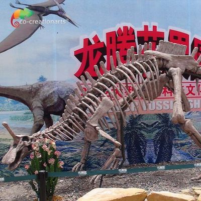 comprar Vida das réplicas do fóssil de dinossauro da decoração do parque - tamanho Tsintaosaurus Sunproof de esqueleto online manufacture
