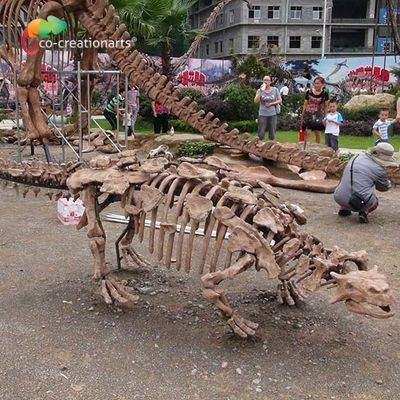 comprar Vida de esqueleto da réplica do dinossauro da decoração do parque - tamanho Sunproof online manufacture