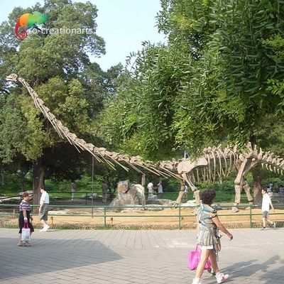 comprar Vida de Sunproof - modelo Skeleton Mamenchisaurus Skeleton do dinossauro do tamanho 15m online manufacture