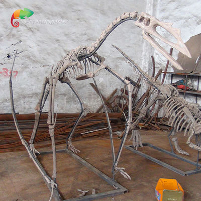 comprar Esqueleto de esqueleto de Quetzalcoatlus do dinossauro da resina da exposição do museu customizável online manufacture