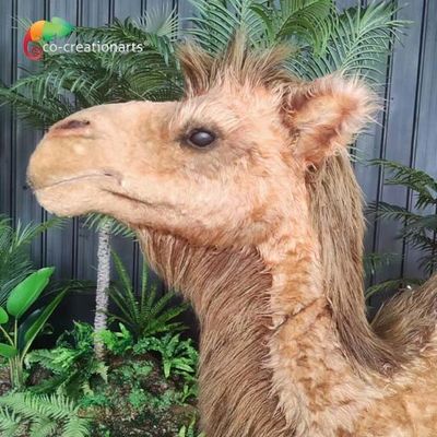 comprar Animais Animatronic realísticos artificiais o camelo personalizado do tamanho controlou remotamente online manufacture