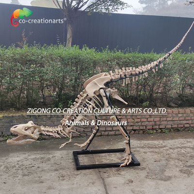 Decoração exterior altamente detalhada Resina Esqueleto de dinossauro réplica Esqueleto de T-Rex