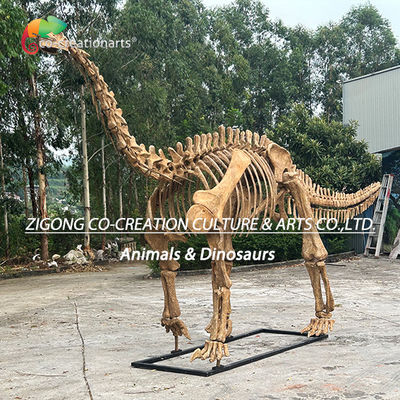 Modelo autêntico e personalizado de esqueleto de dinossauro para decoração exterior