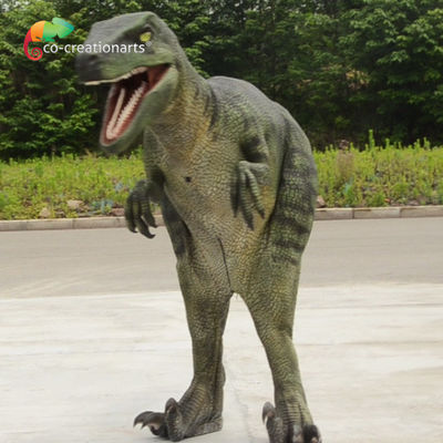 Bom preço. 1.7m Animatrónico Dinossauro Velociraptor Traje realista Criar Escenas Jurássicas Espectaculares on-line