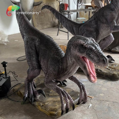 Bom preço. Parque de diversões tamanho de vida dinossauros animatrónicos velociraptor animatrónico com movimento realista e som on-line